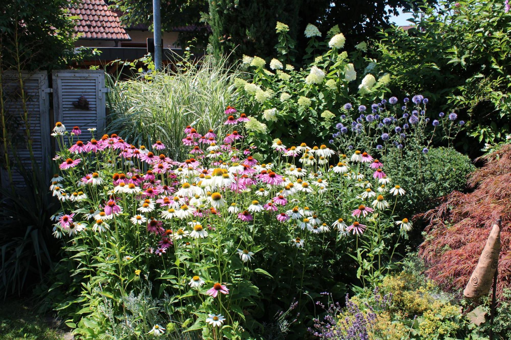 Apartment Im Garten Gengenbach Buitenkant foto
