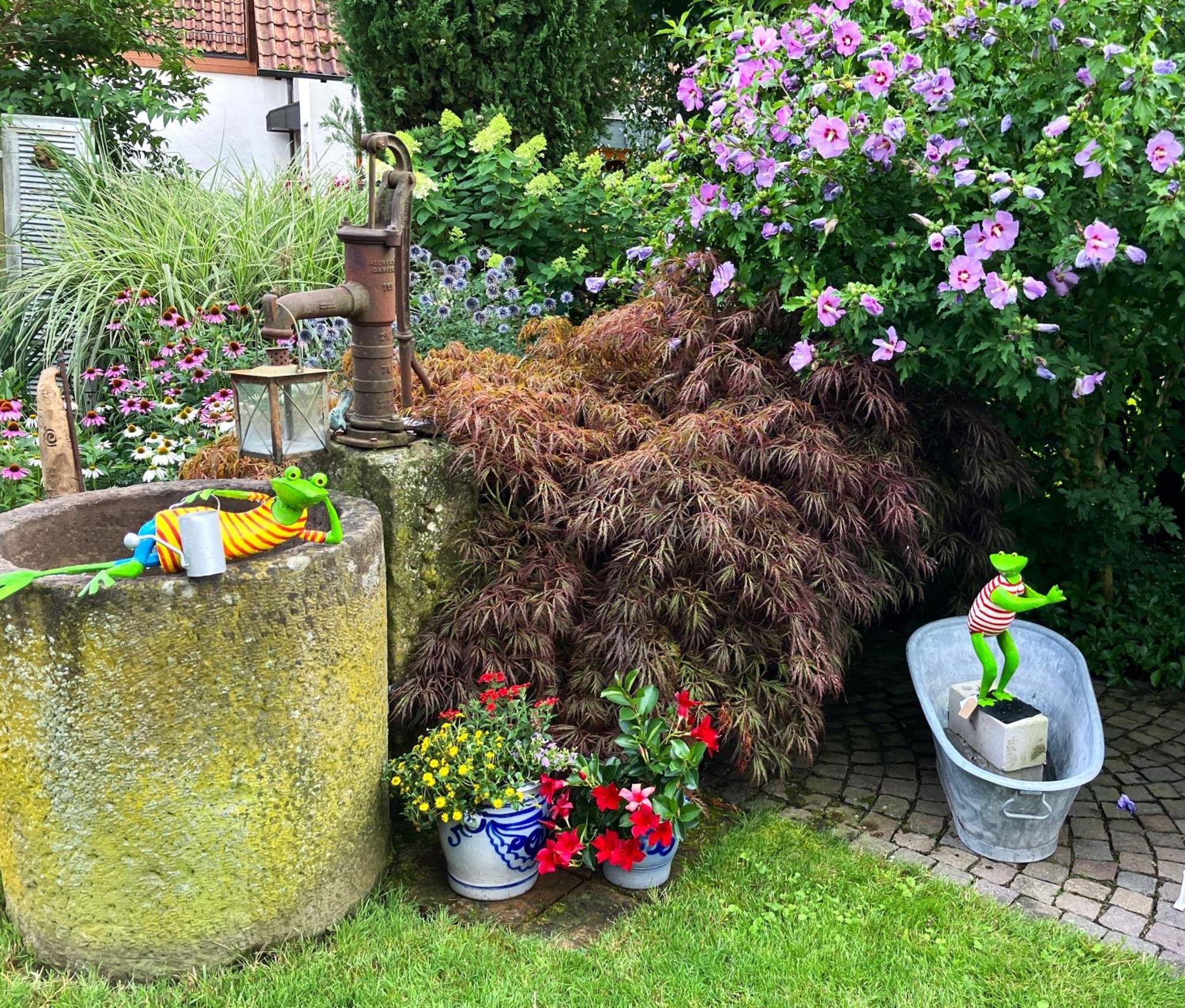 Apartment Im Garten Gengenbach Buitenkant foto